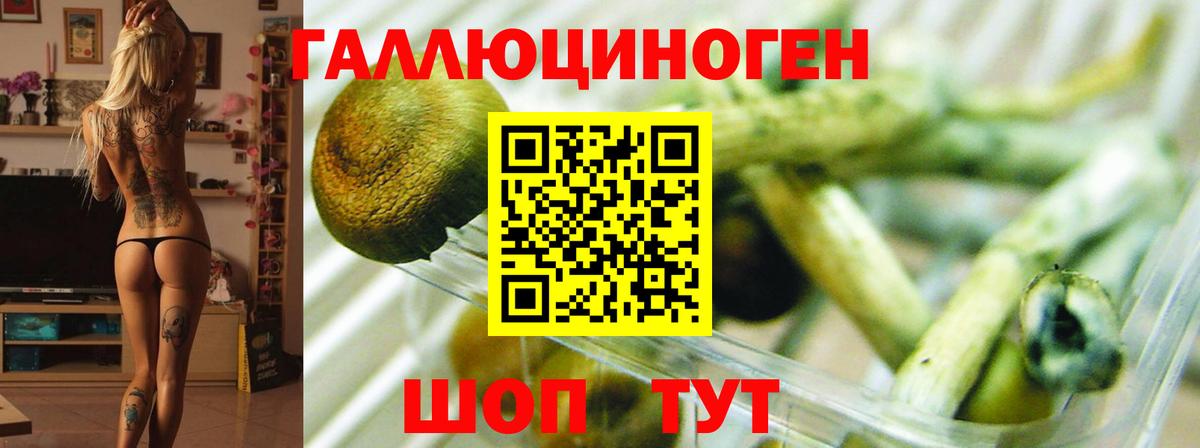 Псилоцибиновые грибы GOLDEN TEACHER Омск